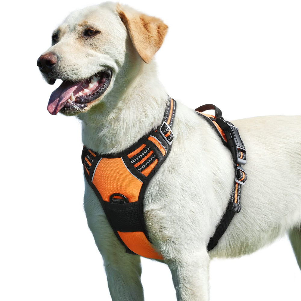 Eagloo large no-pull harness back ring improves control during walks.