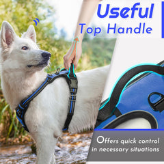 Eagloo padded air mesh keeps dogs cool and comfortable