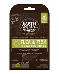 Earth Animal flea tick collar on a small dog for natural protection