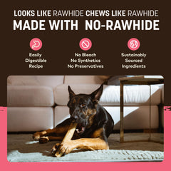 Earth Animal No Hide Chews Salmon texture during playtime demonstrates engaging chew session.