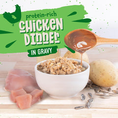 Earthborn Holistic Chicken Catcciatori grain-free can—gluten-free wet cat food option.