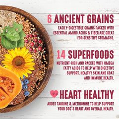 Earthborn Holistic Venture superfoods with berries, spinach, and carrots support coat vitality.