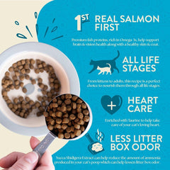 Earthborn Holistic Wild Sea Catch cat-eating captures satisfying carnivore cravings with real salmon first ingredient.