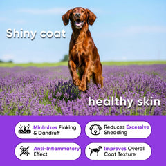 Earthcraft Omega 3 dog chews chicken flavor bone close-up suggests easy daily dosing