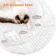 Easyego flower platform—colorful, elevated lounging spot for playful cats.