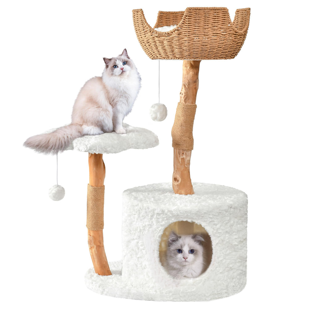 Easyego modern cat tree pear wood base—sturdy perch for large cats.