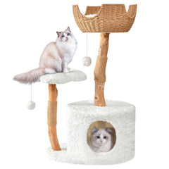 Easyego modern cat tree pear wood base—sturdy perch for large cats.