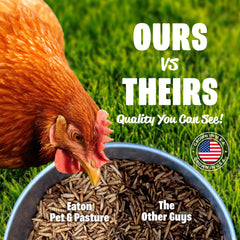 Eaton grubs close-up texture shows protein-rich dried larvae for poultry