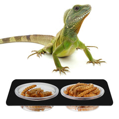 EBOOT gecko feeder cups at compact size for easy placement.