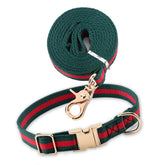 echentie stylish-dog-collar-buckle for daily comfort and visual appeal