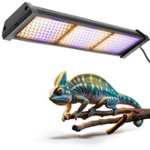Eckpo dimmable LED reptile UVB lamp over basking area for controlled exposure