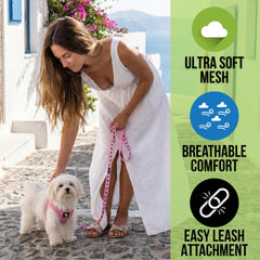 EcoBark Step-In Mesh Harness detail with lightweight fabric and secure strap system
