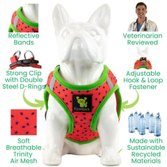EcoBark toy breed harness is escape-proof when properly sized for secure wear.