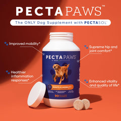 EcoNugenics PectaPaws beef-flavored chews close-up, a tasty treat dogs love with mobility support.