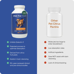 EcoNugenics PectaPaws glucosamine HCI tablet close-up for dogs' joint care.