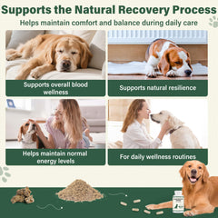 edoia daily wellness routine for dogs with herbal capsules.