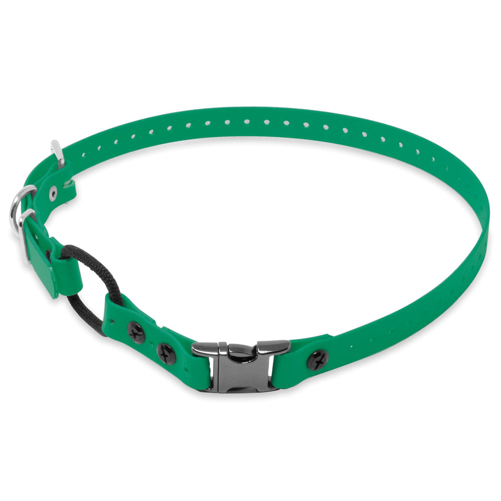 Educator 3/4-inch green Biothane bungee collar for quick, secure on/off during workouts.