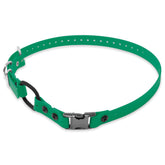 Educator 3/4-inch green Biothane bungee collar for quick, secure on/off during workouts.