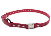 Educator Biothane bungee collar 3/4-inch red close-up for durable outdoor wear.