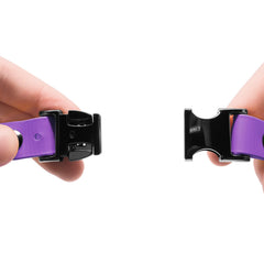Educator Biothane waterproof material shown in purple strap for outdoors