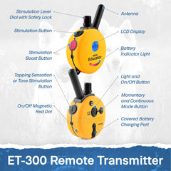 Educator ET-300 Mini E Collar night LED for visibility during walks.