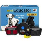 Educator ET-302 black mini e-collar with remote for versatile training.