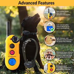 Educator EZ-900 ergonomic LCD remote for precise, discreet dog training.