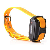 Educator PE-090 receiver collar expanding to a second dog for training.