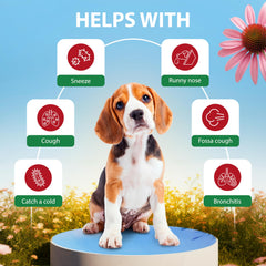 EduZebra drops applied to a dog for quick relief.