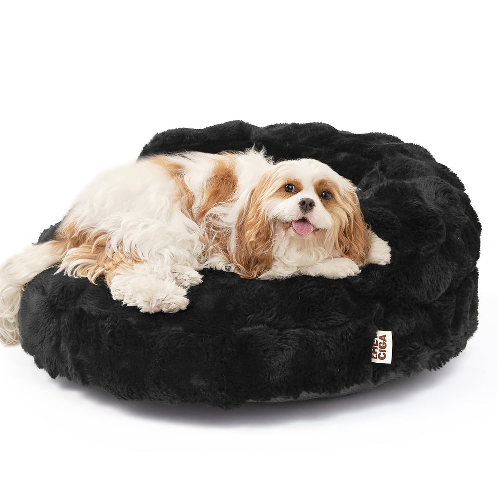 EHEYCIGA soft cat couch bed front view shows cozy, inviting nap space