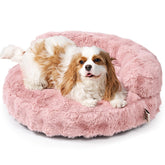 EHEYCIGA soft cat couch bed in a cozy room, ideal for indoor naps.