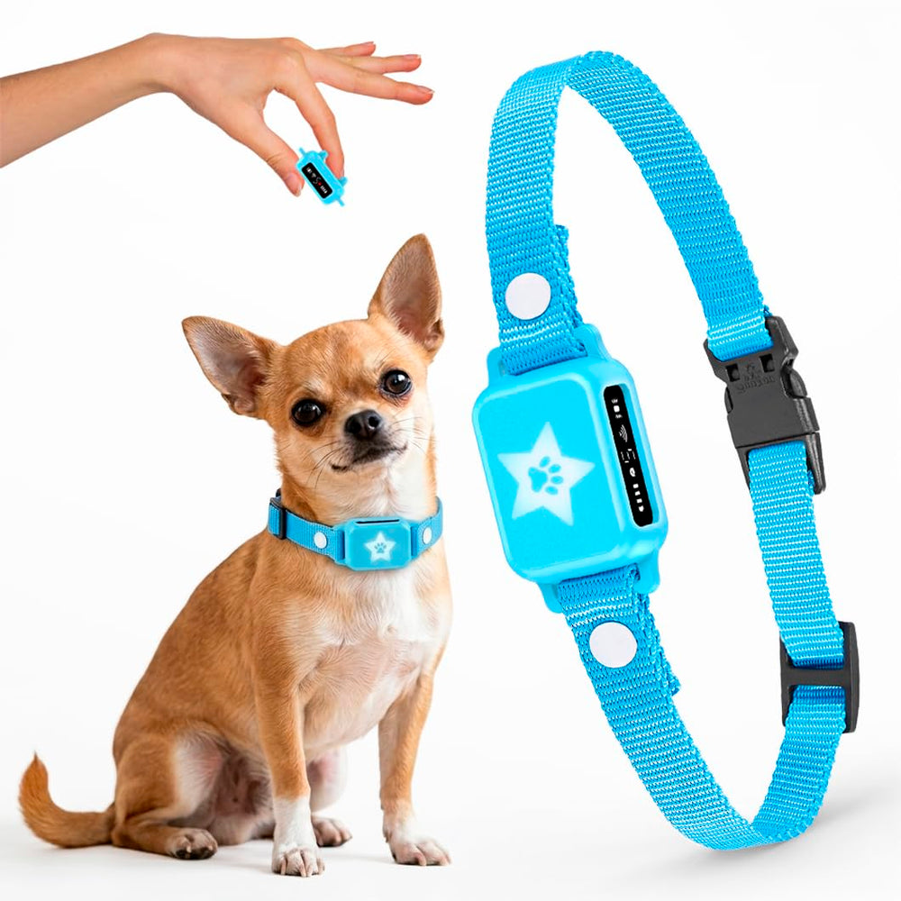 ELECANE Bark Collar on a small dog’s neck delivering gentle training cues.