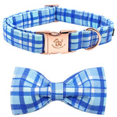 Elegant little tail blue plaid collar on a medium dog with bow for stylish comfort.