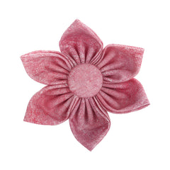 Elegant little tail flower bow 3.9-in offers versatile styling for pups.