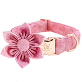Elegant little tail pink girl dog collar with removable flower for stylish daily wear.