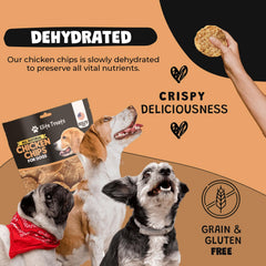 Dog enjoying Elite Treats Chicken Chips during a training session.