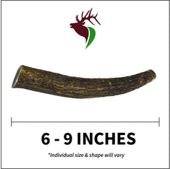 Elkhorn Premium Chews elk antler dog chew closeup shows smooth edges for safe chewing