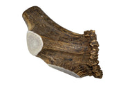 Elkhorn Premium Chews giant split elk antler dog chew, long-lasting for big breeds.