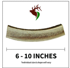 Elkhorn Premium Chews inner marrow split elk antler, promotes long-lasting chewing sessions.