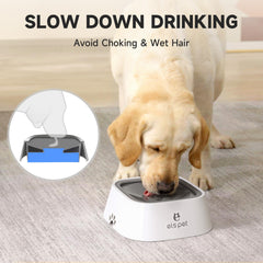ELS PET floating disk slows drinking to keep a pet's beard dry.