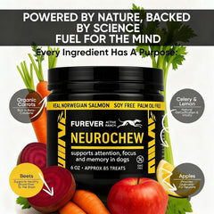 ELSORY Furever Active plant-based superfoods image highlighting nutrient-rich ingredients.