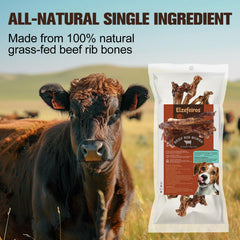 Elzefeiros beef rib bone chew detailed close-up highlighting rugged chew-ready surface