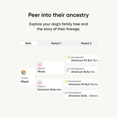 Embark-personality-quiz helps identify instincts tied to breed mix