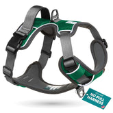 Embark Pets Adventure large dog harness front clip supports training and control during walks.