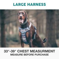 Embark Pets Adventure gel-lined handle provides secure grip during lifting and control