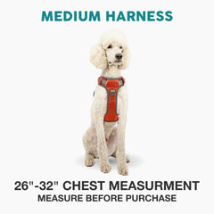 Embark Adventure harness front clip enables no-pull training during daily strolls.