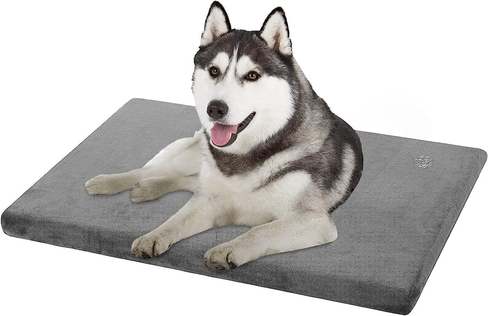EMPSIGN stylish dog bed top view highlighting supportive foam for comfort