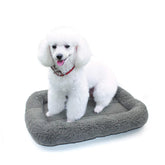 Enjoying Cat Mat Bed with plush faux fur surface for cozy naps.