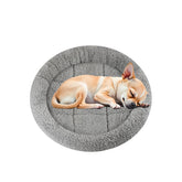 Enjoying Plush Cat Bed Mat: round design offers cozy sleep for small pets.