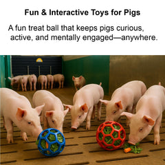 Enochainchin pig enrichment ball red engages pigs with treats and play